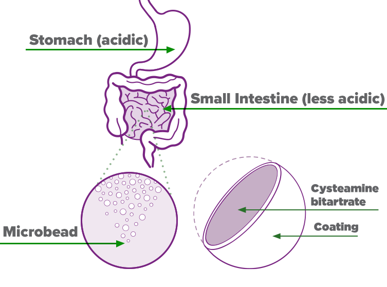 Cystamine Bitartrate